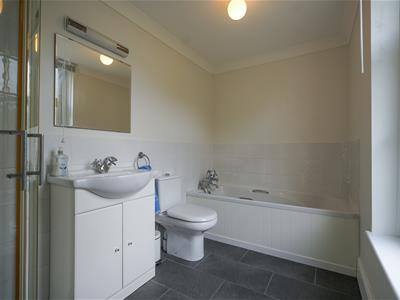 Picture 46